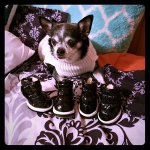 🐕Doggy shoes 🐶 Shiny Black Boots xl